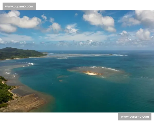 北马群岛跨界王巴勃罗:绿茵守土,羽场挥拍,哨声不停 北马群岛跨界王巴勃罗:绿茵守土,羽场挥拍,哨声不停