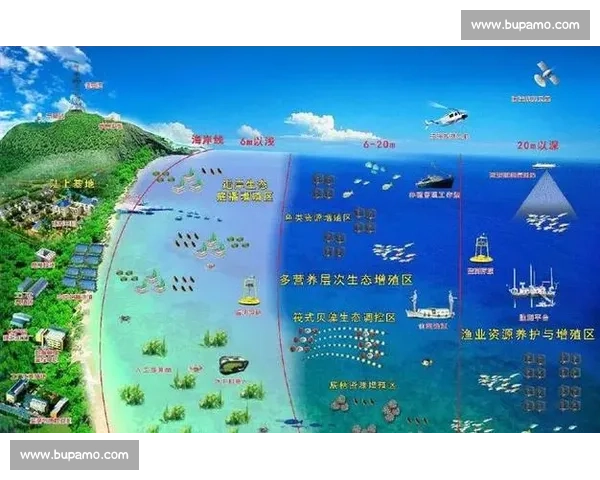 剑鱼独特生存策略与生态角色分析及其对海洋生态系统的影响